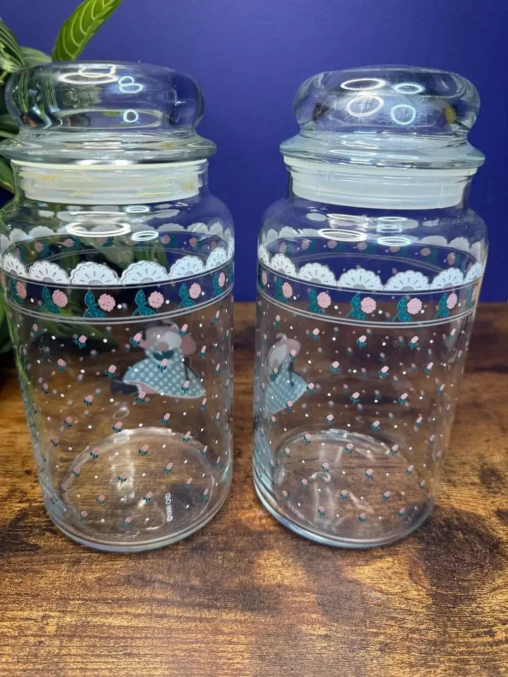 Vintage 1988 CHD Glass Canister Jars with Kitty Cat and Rose Design (Set of 2)